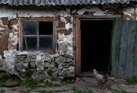 Old rustic barn from the door of which a chicken came out Stock Photos