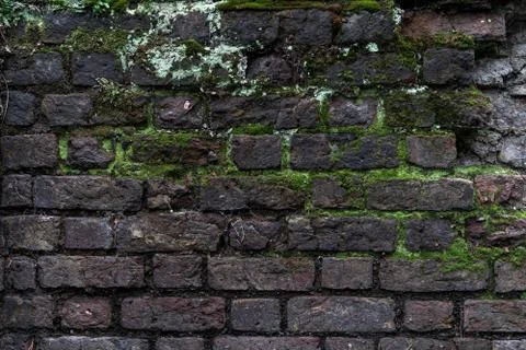 Old rustic brick wall with moss. High quality texture and background Stock Photos