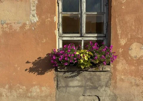 Old Rustic Facade with Blooming Window Box on Weathered Orange Wall 库存照片