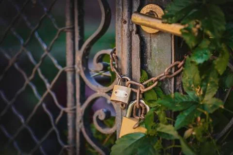 Old rustic gate covered in foliage Stock Photos