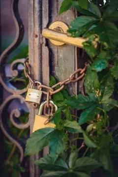 Old rustic gate covered in foliage Stock Photos