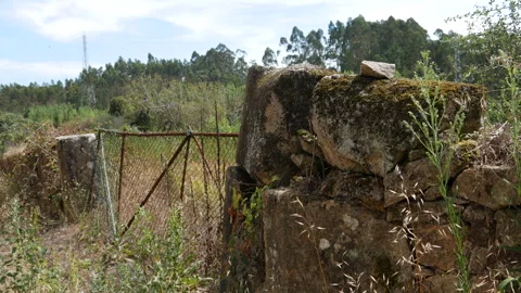 Old, rustic, gate overgrown with vines ivy, in rough stone wall in Portugal. Stock Footage 248457437