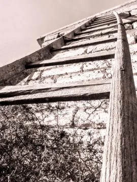 Old Rustic Ladders Stock Photos