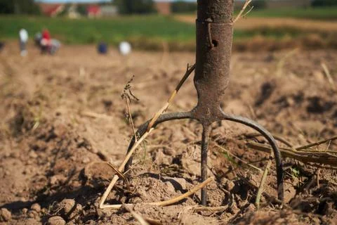 Old rustic pitchfork on a field Stock Photos