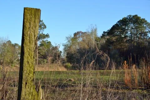 Old rustic square post in a pasture Foto stock