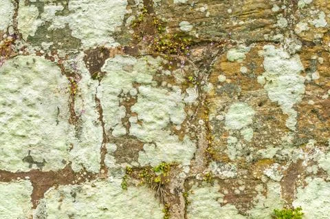 Old Rustic Stone wall Background Stock Photos