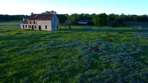 Old rustic Texas Hill Country farmhouse with pasture of bluebonnets Stock Footage 104892855