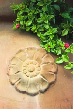 Old rustic wall with flower sihn and tree in calabria Fotos de archivo
