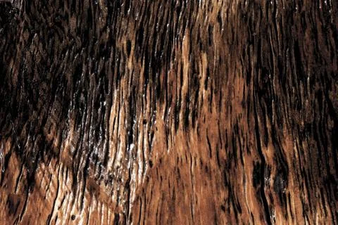 Old rustic wood texture Foto stock