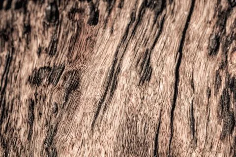 Old rustic wood texture Stock Photos