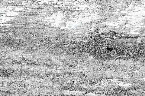 Old rustic wooden texture as background. Black and white background. Stock Photos