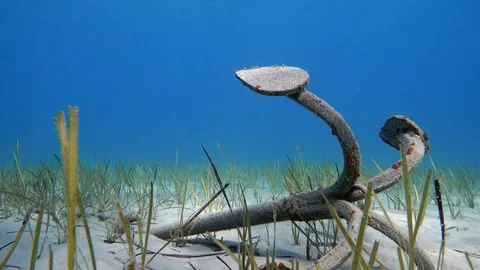 Old rusty abandoned anchor at the bottom of the sea 動画素材 80477877