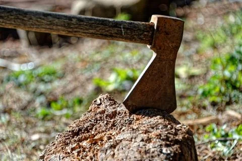 Old rusty axe stuck in a trunk Stockfoto's