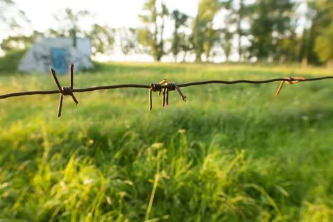 Old rusty barb wire in contrast with green bright happy sunset light summer n Stock Photos