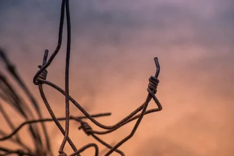 Old  rusty barbed broken wire fence Stock Photos