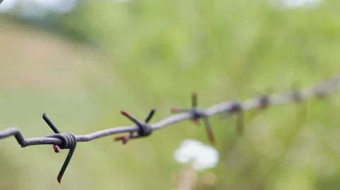 Old rusty barbed wire. Close-up focus pull. Stock Footage 56874087