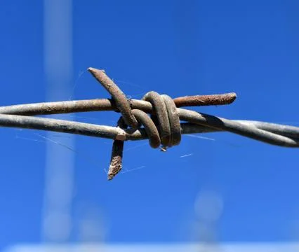 Old rusty barbed wire, close up. Electrified fence with barbed wire Foto stock