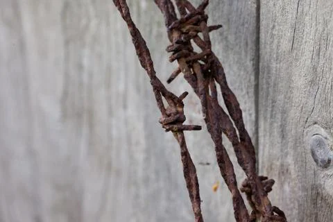Old rusty barbed wire Stock Photos