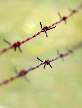 Old rusty barbed wire Stock Photos