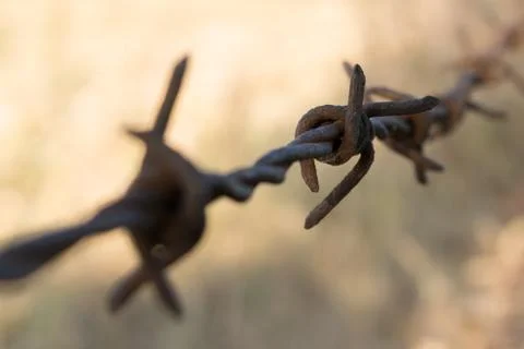 Old, rusty barbed wire - shallow depth of field Stock Photos