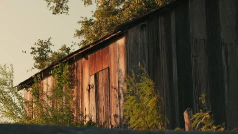 Old Rusty Barn on Rural Land with Trees Stock Footage 281892474