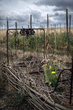 Old rusty bed turned into a flower bed in a permaculture garden Stock Photos