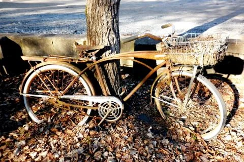 Old rusty bicycle Foto stock