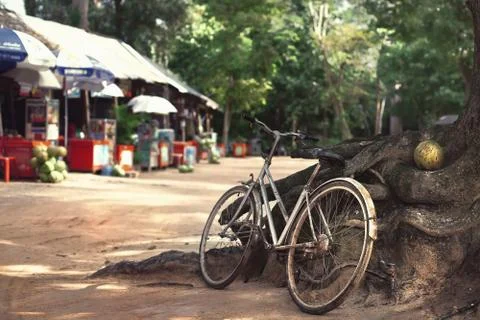 Old, rusty bicycle Stock Photos