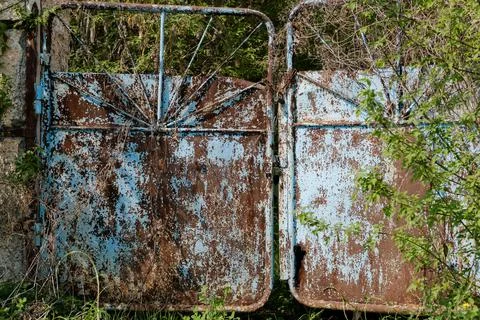 Old rusty blue gate on an abandoned lot Stock Photos