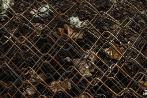 Old rusty brown mesh background. Metal mesh fence in dry leaves close up. Stock Photos