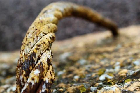 Old Rusty Cable Stock Photos