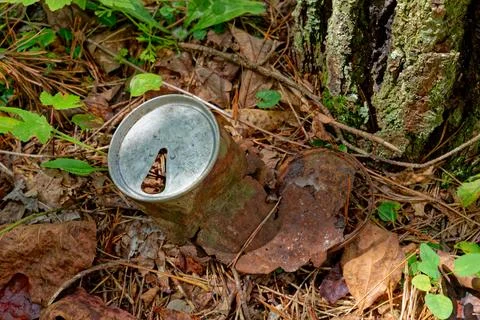 Old rusty can in the forest Stock Photos