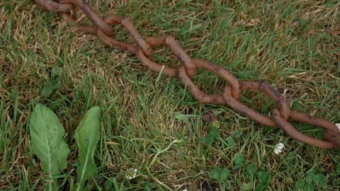 Old rusty chain dragging along green lawn grass Stock Footage 113742824
