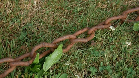 Old rusty chain dragging along green grass Vídeos de archivo 113742827
