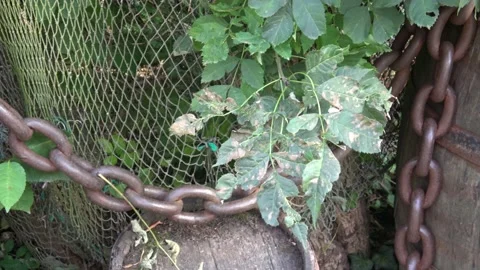 Old rusty chains in on barrels Stock-Footage 221178930