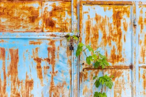 Old rusty door for use as a background Stock Photos