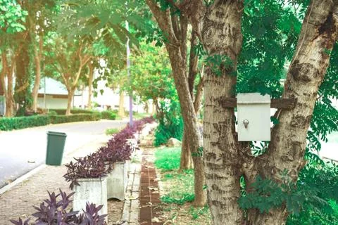 Old rusty electrical power control box on tree in the public park. Stock Photos