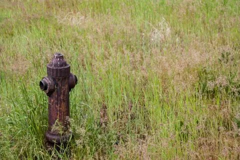 Old rusty fire hydrant in grass Stock Photos