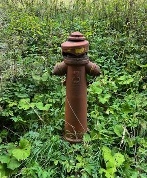 Old rusty fire hydrant surrounded by wild vegetation. Stock Photos