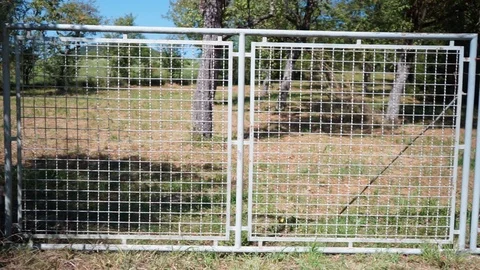 Old rusty garden gate in front of a meadow with trees Stock Footage 116011919