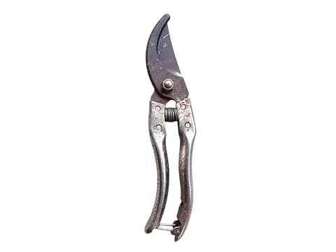 Old Rusty Garden Pruning Shears on White Background Stock-Fotos