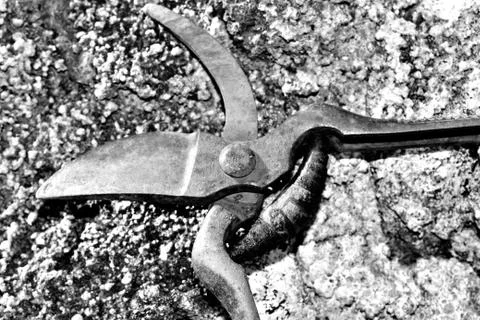 Old rusty garden shears leaning on an old wall Stock Photos
