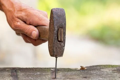 Old rusty hammer. Small carpentry work in the workshop. Home renovation. Stock Photos
