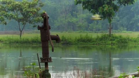 Old Rusty Hand Pump by a Serene Village Pond with Flying Bird Vídeo Stock 336531216