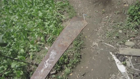 Old rusty iron machete blade lying on dirt ground near green plants Stock-Footage 208897465