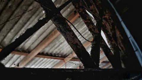 Old rusty iron window bars with dust and cobwebs. Stock Photos