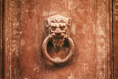 Old rusty knocker lion head on a weathered brown front door Foto stock