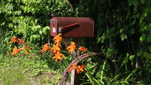 OLD RUSTY MAIL BOX Stock Footage 7734944