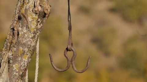Old Rusty Meat Hook Hanging On A Rope Stock Photo, Picture and
