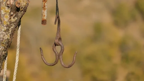 Old rusty meat hook Meat hanging hook butcher equipment tariki meat hook Stock Footage 119319149